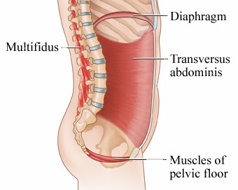 How to restore Pelvis Balance?